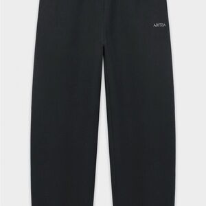 Aritzia Mega fit sweats